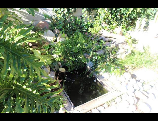 2 BEDROOM PROPERTY TO RENT IN WOODSTOCK